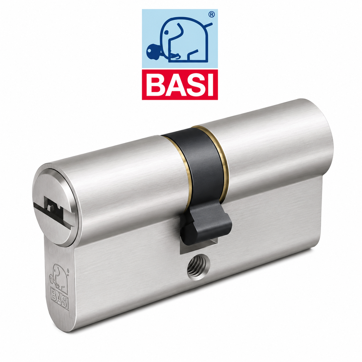 BASI V55