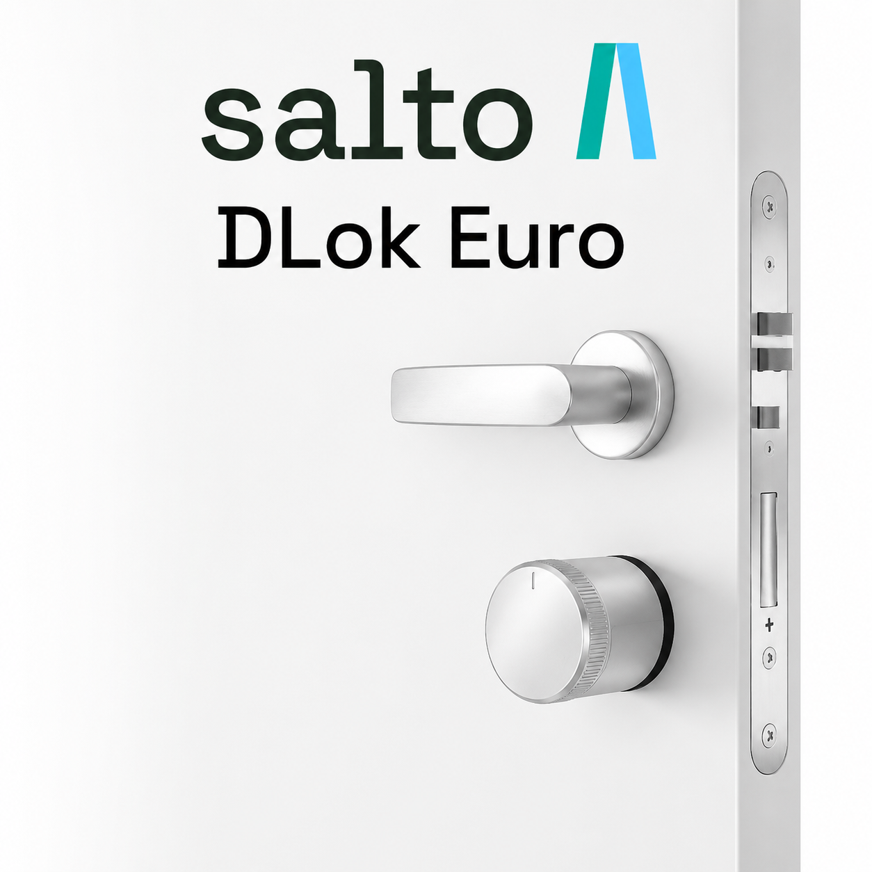 SALTO DLok
