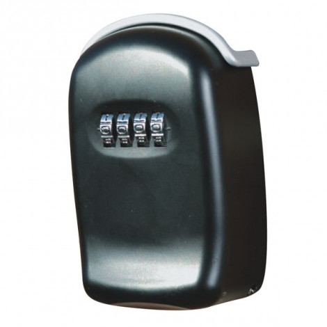 Phoenix Safe Mini Safe