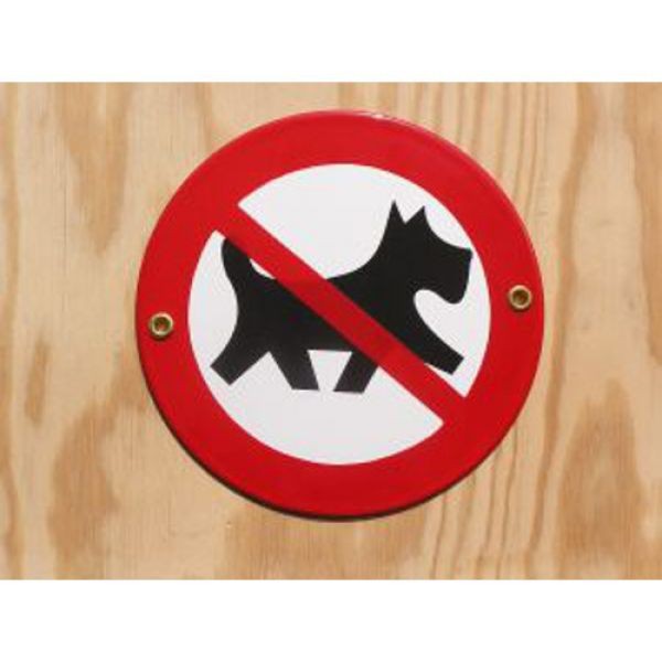 MünderEmail Schild Hunde verboten Warnschilder Schilder