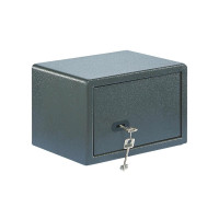 Burg Wächter - Pure-Safe PS