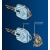 ABUS Schlüsselkappe Combi Cap mit Folientransponder