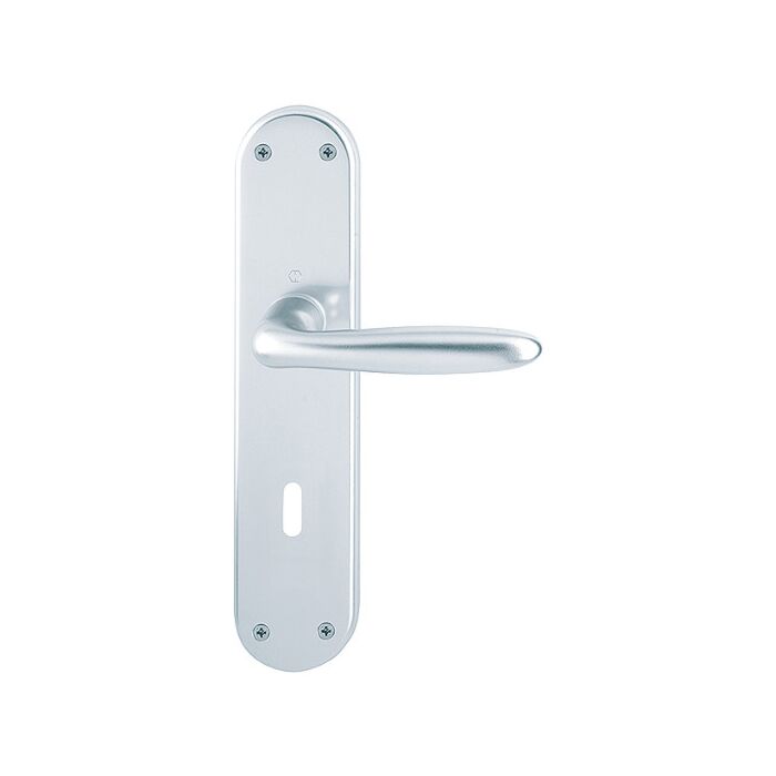 F1 Aluminium Natur - Ovalbart