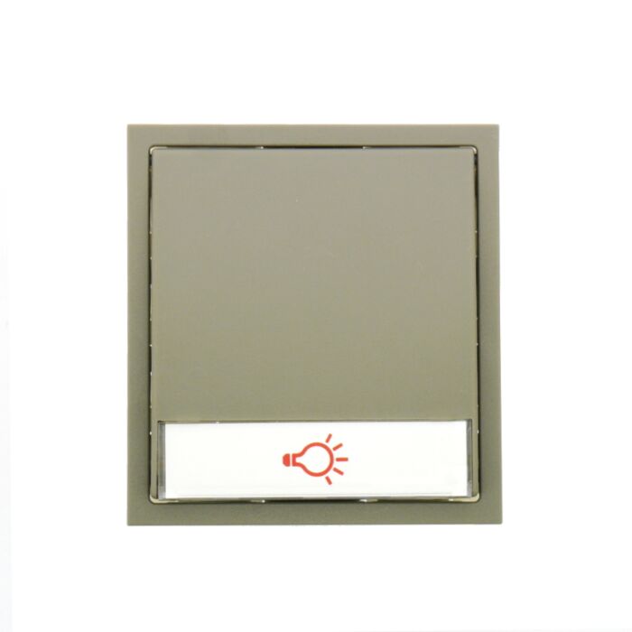 RENZ Tastenmodul mit 1 Lichttaster-Graualuminium