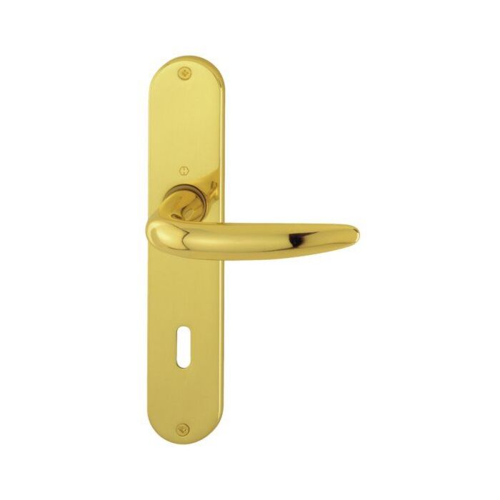 HOPPE Atlanta Langschild-Garnitur M1530/302 - F71 Messing poliert - Ovalbart