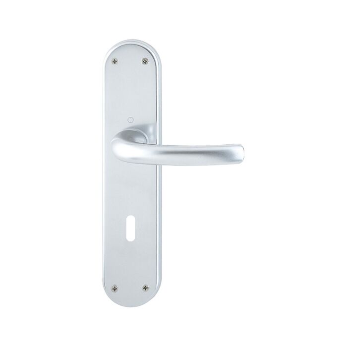 F1 Aluminium Natur - Ovalbart