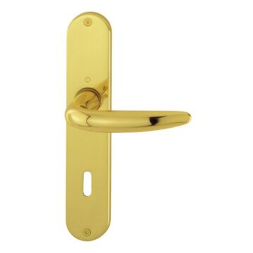 HOPPE Atlanta Langschild-Garnitur M1530/302 - F71 Messing poliert - Ovalbart